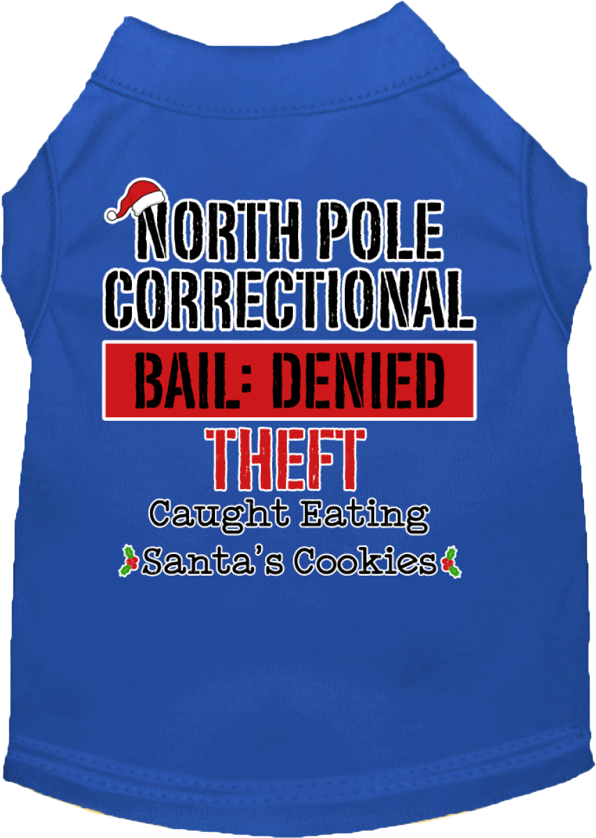 North Pole Correctional Screen Print Dog Shirt Blue Size XS